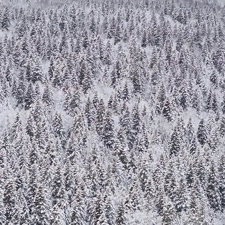 View Bjelašnica